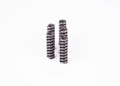 BOSCH 2434614041 Basınç Yayı - 2. Görsel