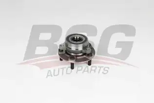 BSG 40600008 Porya Ön