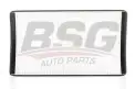 BSG 60145010 Polen Filtresi