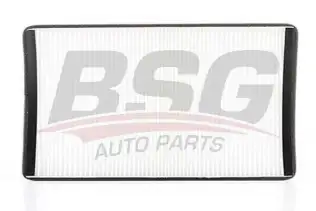 BSG 60145010 Polen Filtresi