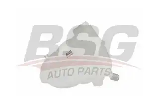 BSG 65550006 Radyatör Yedek Su Deposu