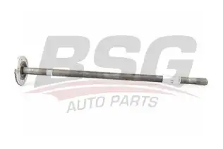 BSG 30470006 Aks Komple Arka