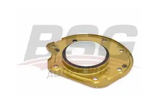 BSG 30116114 Krank Keçesi Arka
