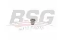 BSG 70700099 Salıncak Burcu Arka