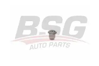 BSG 70700099 Salıncak Burcu Arka