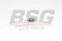 BSG 15615010 V Kayış Gergi Rulmanı