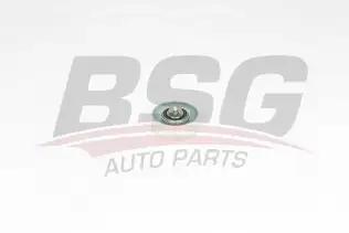 BSG 15615010 V Kayış Gergi Rulmanı