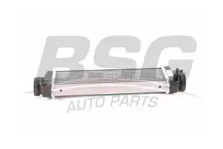 BSG 60535010 Turbo Radyatörü