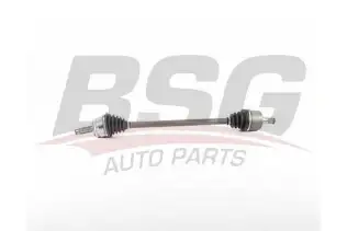 BSG 40350020 Aks Komple Ön Sağ