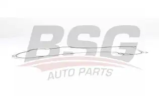 BSG 65116003 Yağ Pompa Contası