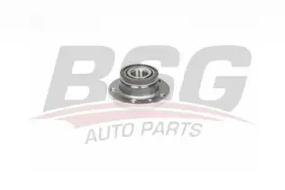 BSG 25325002 Porya Arka