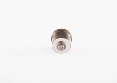 BOSCH 2418552063 Pompa Valfi - 4. Görsel