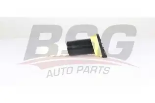 BSG 25700010 Amortisör Takozu Arka
