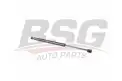 BSG 40980032 Bagaj Amortisörü