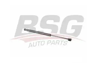BSG 40980032 Bagaj Amortisörü