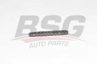 BSG 60109050 Yağ Pompa Zinciri