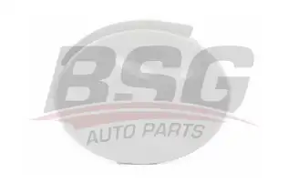 BSG 65922064 Çeki Demir Kapağı Ön