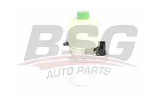BSG 90355012 Direksiyon Pompası