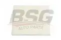BSG 40145006 Polen Filtresi
