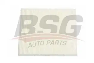BSG 40145006 Polen Filtresi