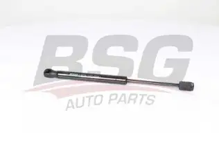 BSG 15980018 Motor Kaput Amortisörü