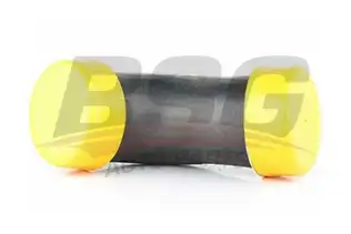 BSG 60720102 Turbo Hortumu