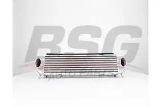 BSG 15535019 Turbo Radyatörü