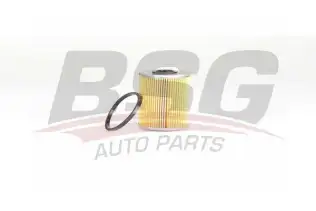 BSG 75130010 Yakıt Filtresi