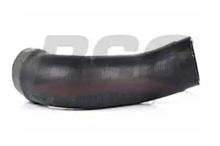BSG 70720198 Turbo Hortumu