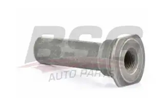 BSG 30251007 Kaliper Burç Takımı Ön