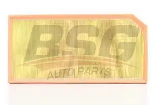 BSG 90135015 Hava Filtresi