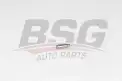 BSG 90122018 Supap Itıcısı