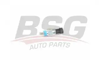 BSG 25840002 Geri Vites Müşürü