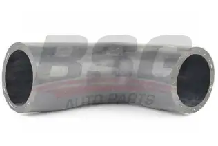 BSG 15720058 Turbo Hortumu