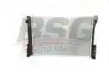BSG 60520021 Su Radyatörü