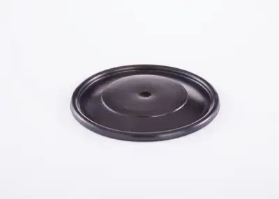 BOSCH 2420503002 Diyafram - 4. Görsel