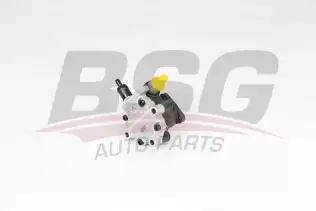BSG 15355026 Direksiyon Pompası