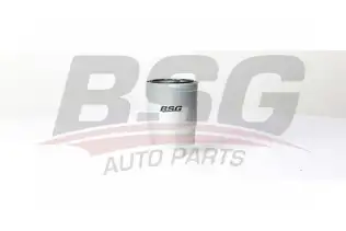 BSG 40130016 Yakıt Filtresi