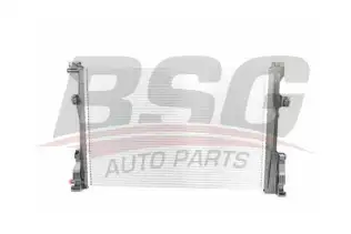BSG 60520041 Su Radyatörü
