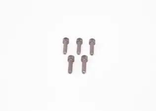 Cıvata BOSCH F 00N 202 192
