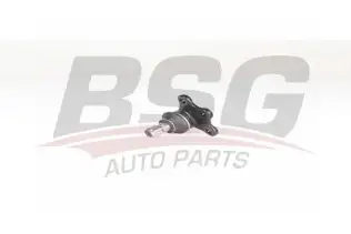 BSG 70310073 Rotil Alt
