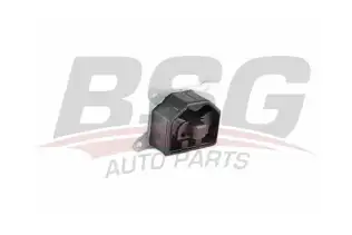 BSG 65700153 Motor Takozu Sağ