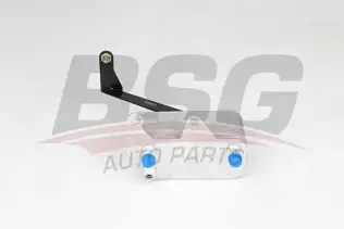 BSG 15506031 Şanzıman Yağ Soğutucu