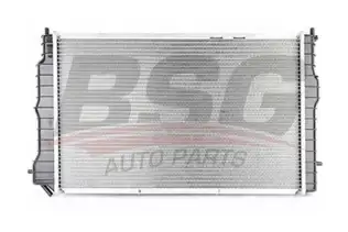 BSG 65520017 Su Radyatörü