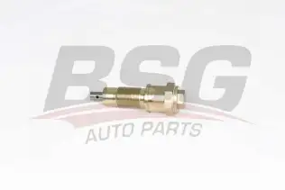 BSG 60109026 Eksantrik Zincir Gergisi