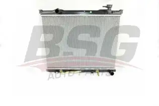 BSG 40520057 Su Radyatörü