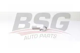 BSG 90310184 Rot Başı Ön