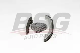 BSG 15102005 Eksantrik Zincir Seti