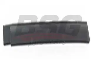 BSG 65925037 Kapı Bandı Arka Sol