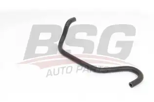 BSG 65720167 Termostat Hortumu